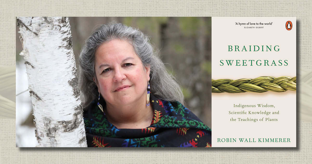 braiding sweetgrass author