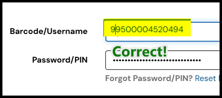 Correct Barcode Example